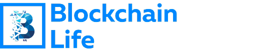 Blockchain Life 2025